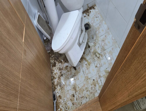 하남 미사동 및 하남시 전지역 빌라 상가 변기역류 오수관막힘, 증상 해결